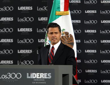 Miniatura: Meksyk: w walce o demokrację