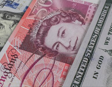 Miniatura: Tygodniowy przegląd kursów walut. Po ile...