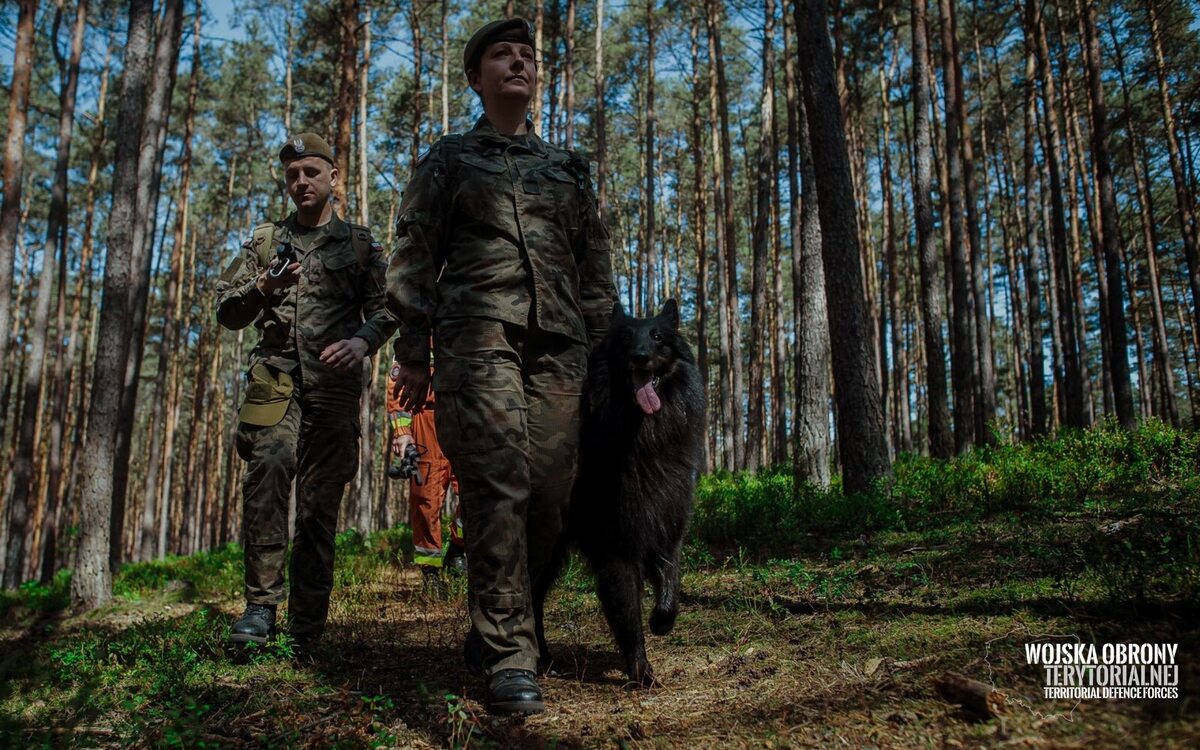 ARES - pierwszy pies ratowniczy w Wojsku Polskim 