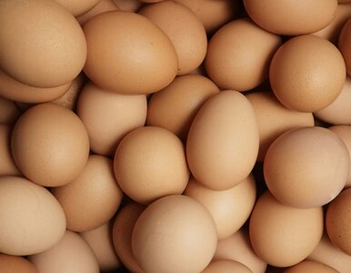 Miniatura: Co wiesz o jajkach? Na 7. pytaniu wymiękniesz