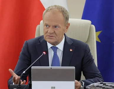 Miniatura: Tusk dostał jasny sygnał. Polacy zabrali...