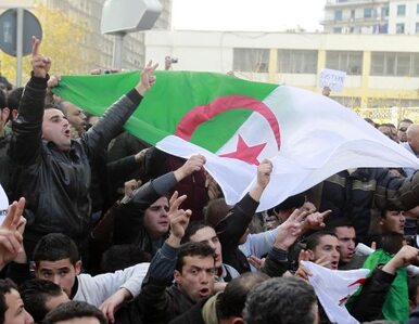 Miniatura: Algieria też chce zmian. Trwają starcia z...