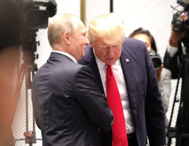 Miniatura: Spotkanie Trump – Putin a nowelizacja...