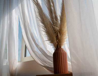 Miniatura: Wrzuć trzy tabletki do wody. Firanki robią...