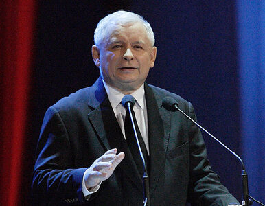 Miniatura: Kaczyński: PiS idzie ku władzy