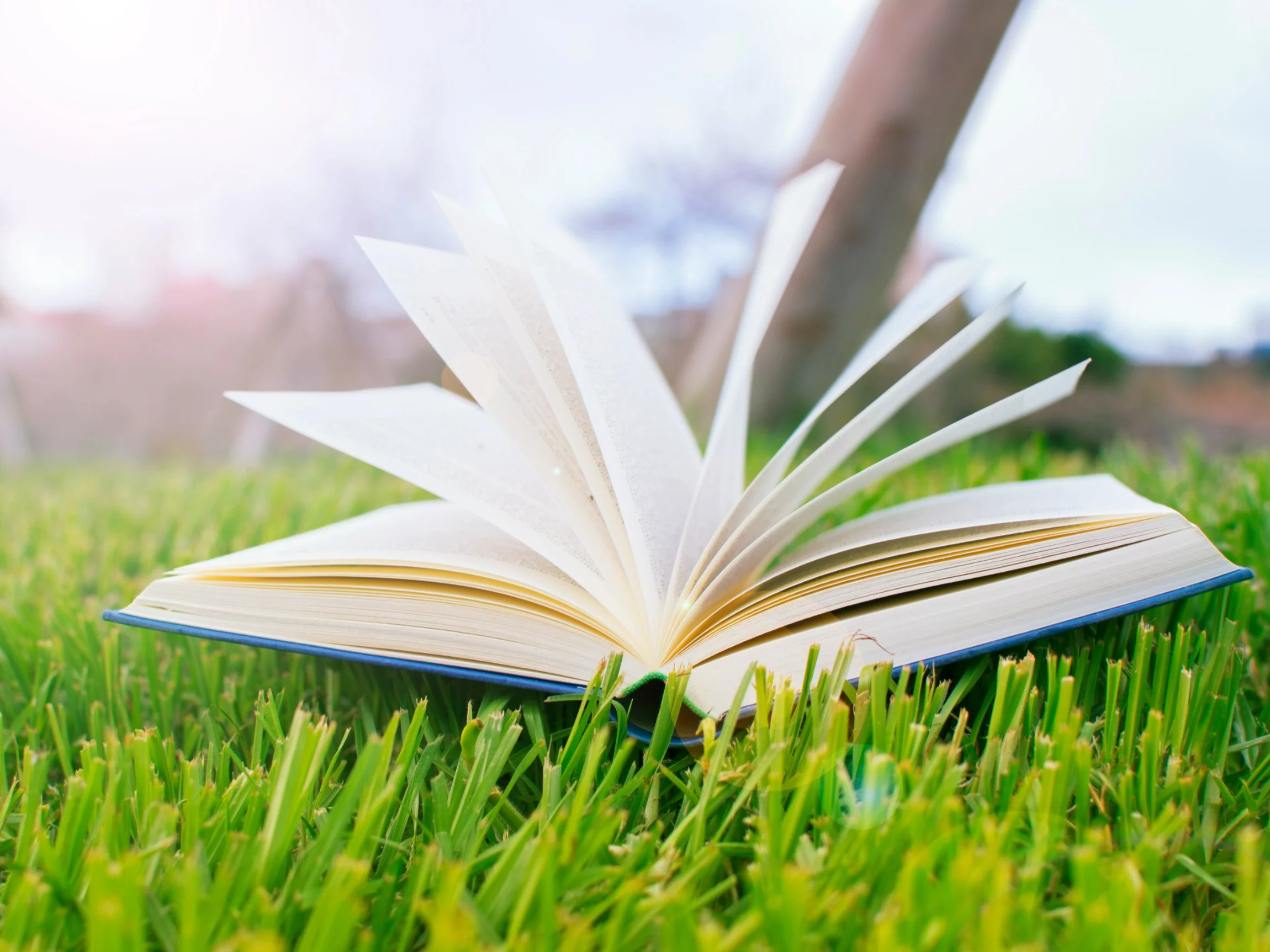 Te słowa wyszły z użycia. Wiesz, co znaczą?