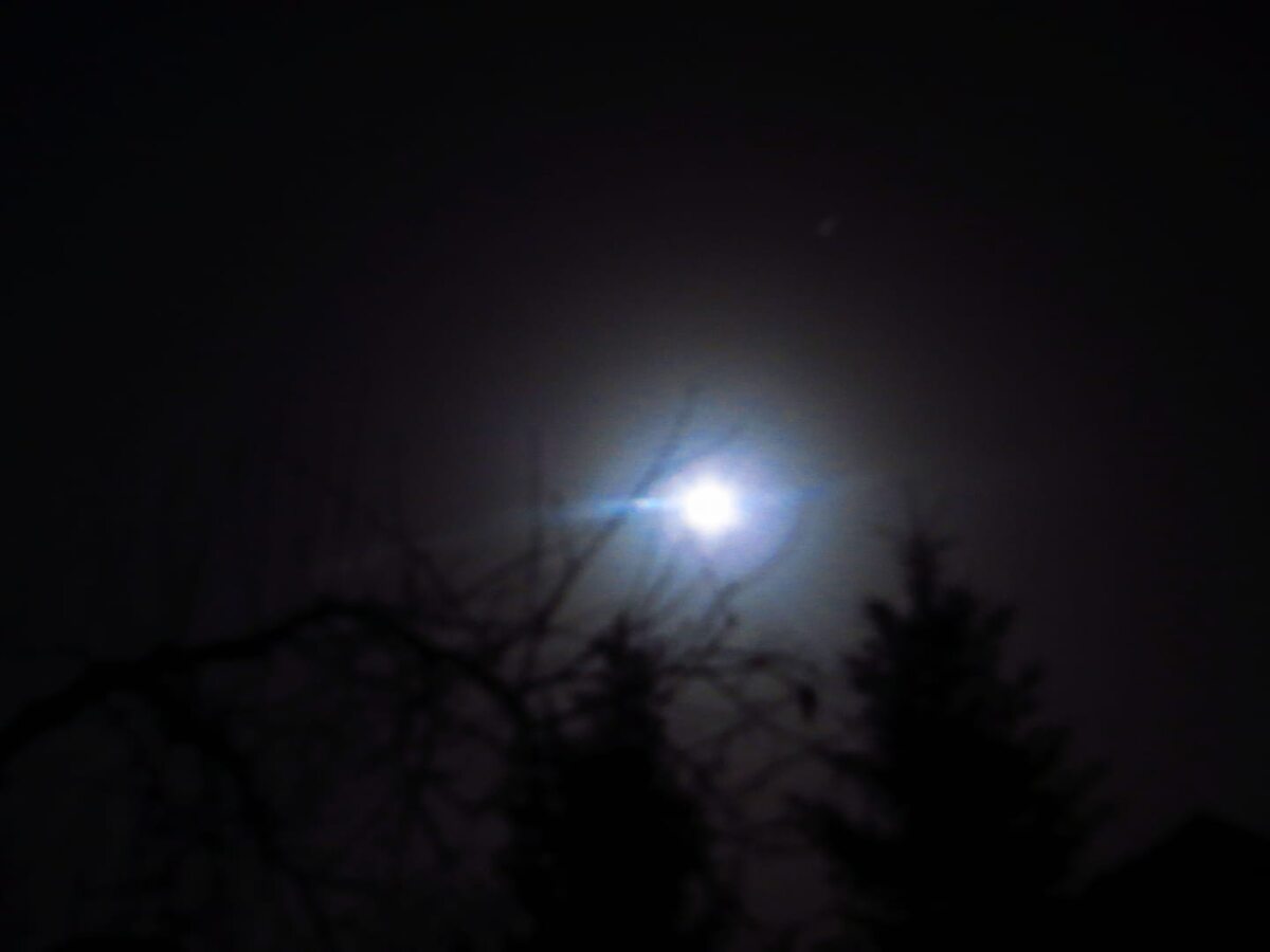 Niebieski Księżyc w Trawach 