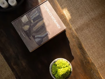 Wnętrza w kolorach ziemi, projekt Zoom Design Azja, Zoom Design, natura