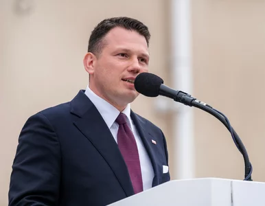 Miniatura: „Niemcy sobie języki połamią”. Mentzen...