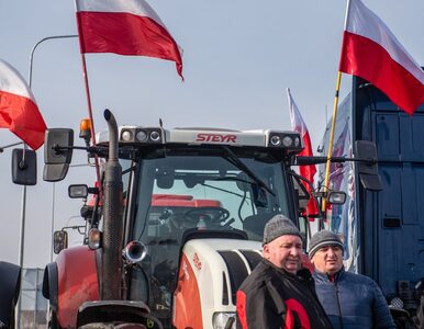 Rolnicy mają dość zboża z Ukrainy. Zapowiadają ogólnopolski protest