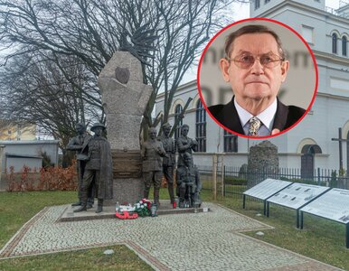Miniatura: UPA jak Żołnierze Wyklęci? „Na pewnym...
