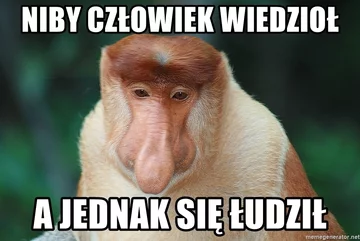 Mem po meczu Polska – Słowacja 
