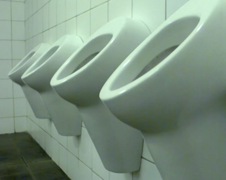 Miniatura: Polak wynosi z pracy herbatę, beton i......