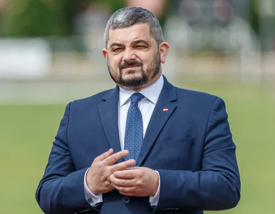 Miniatura: Sprawa likwidacji prawa weta w UE....