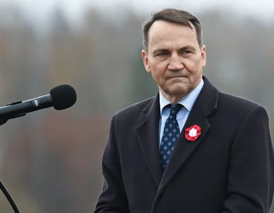 Miniatura: Sikorski zażartował z prawyborów na...