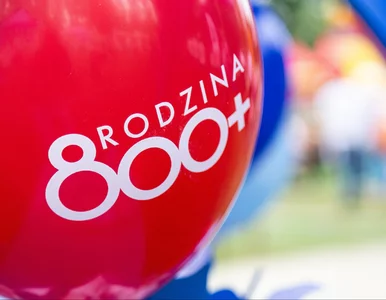 Miniatura: Fortuna z odkładania 500 plus. To można...