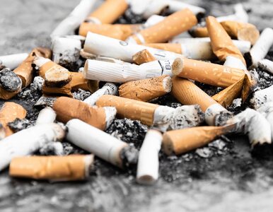 Miniatura: Diagnoza: rak. Czy rzucanie palenia ma sens?