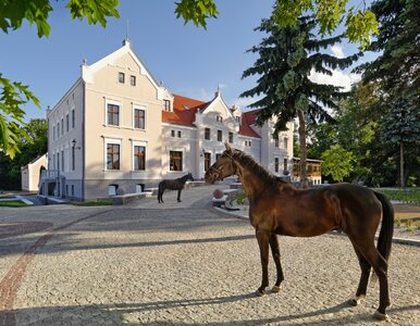 Miniatura: Piękna okolica, piękny pałac, piękny...