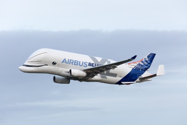 Miniatura: Airbus Beluga XL