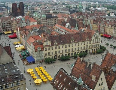 Miniatura: O fotel prezydenta Wrocławia powalczy 10...