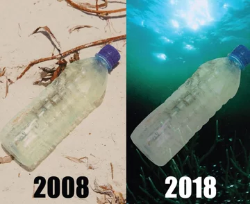 Odpowiedź ekologów na „10 years challange” 