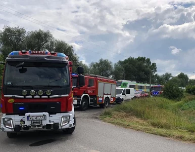 Miniatura: Mężczyzna zginął na torach. Pociągi...