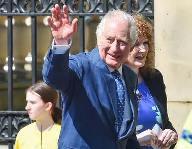 Miniatura: Operacja „Złota Kula” wchodzi w decydującą...