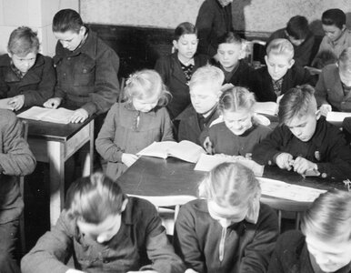 Miniatura: Umiesz pisać po polsku? Ten QUIZ oceni...