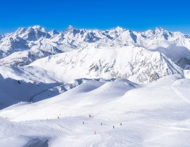 Miniatura: Aż 6 lawin zebrało śmiertelne żniwo....