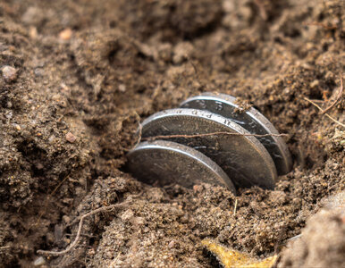 Miniatura: Szukali drogi, znaleźli skarb. Tyle jest wart