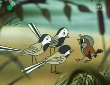 Miniatura: Quiz z wieczorynek PRL-u. Rozpoznaj kadry!