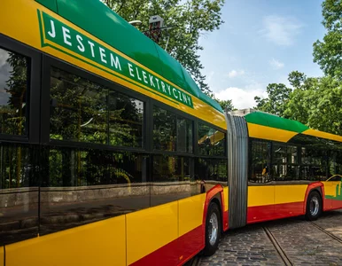 Miniatura: Kierowcy autobusów niczym dobro...