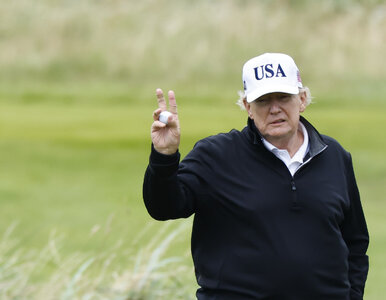 Miniatura: Umowa z UE zawarta. Trump zdradził szczegóły
