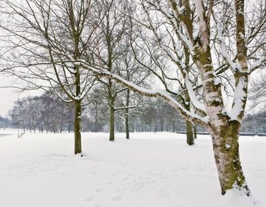 Miniatura: Uwaga na gołoledź. Będzie mokro i ślisko