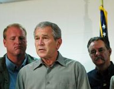Miniatura: Bush pisze książkę o skazach i błędach