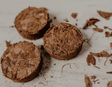 Miniatura: Podłoże kokosowe do roślin doniczkowych....
