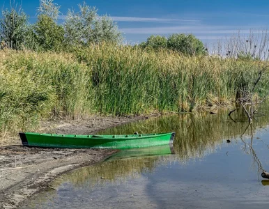 Miniatura: Złe wieści dla Polski. Hydrolog: sytuacja...