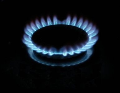 Miniatura: Ukraina: nowego konfliktu gazowego z Rosją...