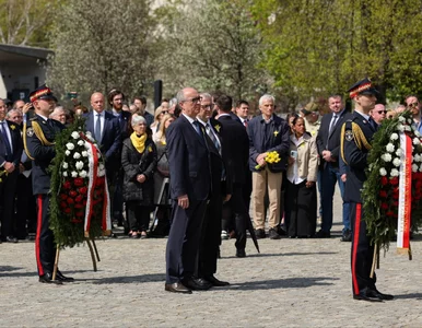 Miniatura: Czarzasty ofiarą tarć w koalicji? „Mamy do...