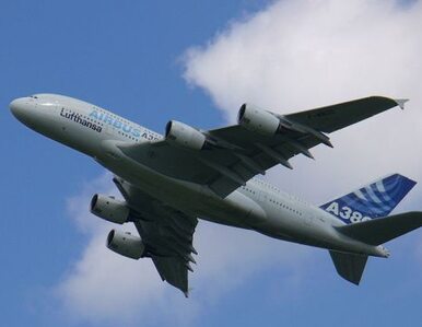 Miniatura: Czy Airbus nieumyślnie spowodowal śmierć...