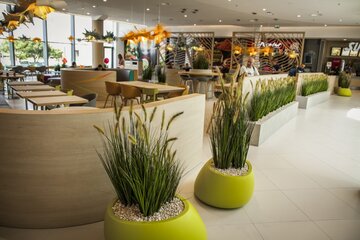 GALERIA MORENA DESIGN (2)