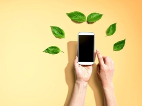 VeloMarket.pl – zielona przestrzeń w Internecie