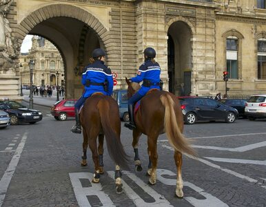 Miniatura: Francja wycofuje się z ograniczeń prędkości