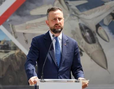 Miniatura: Afera w polskim wojsku. Są wyniki kontroli...