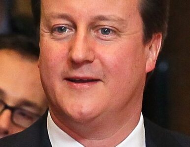 Miniatura: Cameron: dokumentujcie przestępstwa reżimu...