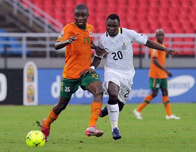 Miniatura: Puchar Narodów Afryki: stadiony świecą...
