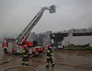 Miniatura: Tradycyjny pożar w Wólce Kosowskiej. I...