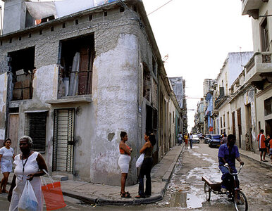 Miniatura: Jak zginął kubański dysydent?