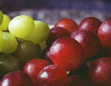 Miniatura: Te owoce obniżają ciśnienie krwi i poziom...