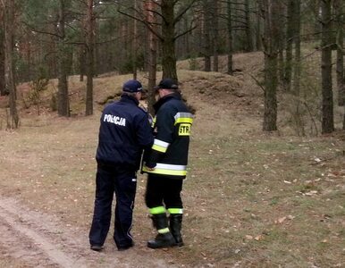 Miniatura: Odnaleźli zaginioną nastolatkę. Leżała...